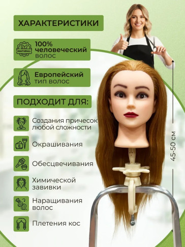 Учебная голова FANTOMHEADS 718AA-Z27 со штативом C7, 45–50 см