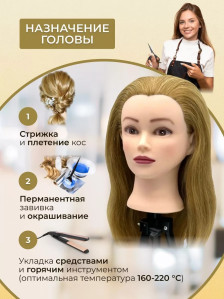 Учебная голова FANTOMHEADS 717AA-Z27, зачёс назад, 45–50 см