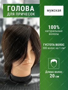 Мужская учебная голова FANTOMHEADS 77-R14-4, тёмный шатен, 20 см