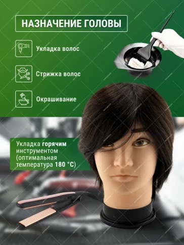 Мужская учебная голова FANTOMHEADS 77-R14-4, тёмный шатен, 20 см